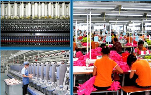 Hanosimex buộc phải thực hiện các biện pháp khắc phục hậu quả bằng cách điều chỉnh giảm số lỗ 34,7 tỷ đồng