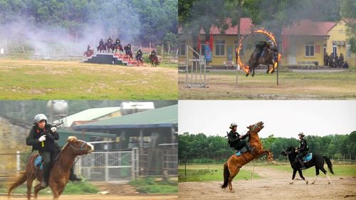 Sau khi đã thuần hóa, ngựa được huấn luyện từ những kỹ năng cơ bản như đứng, đi, chạy, quay đầu, nằm, ngồi, nghe hiệu lệnh; làm quen với tiếng động cơ gầm rú, tiếng còi xe, tiếng súng nổ, khói lửa, đám đông, cờ phướn, tiếng hò reo... Cao hơn nữa là luyện tập vượt chướng ngại vật, bậc thang, hào quân sự, bãi lầy, địa hình dốc và nhiều tình huống giả định khác.