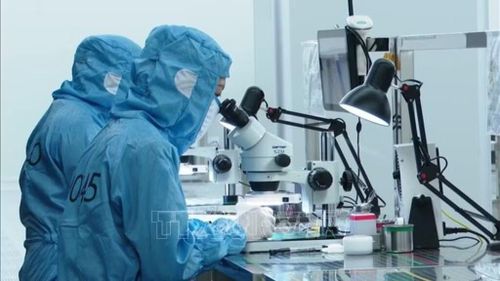 Tri thức kiều bào kỳ vọng vào đột phá hợp tác công nghệ giữa Việt Nam và nước ngoài. Ảnh minh họa: Hoàng Nguyên/TTXVN.