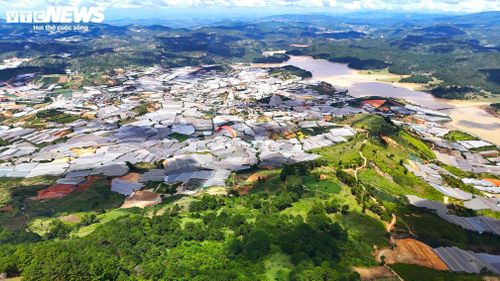 Bay qua vùng nhà kính ở vùng Lạc Dương, du khách trải nghiệm không gian rừng xanh ngát. 