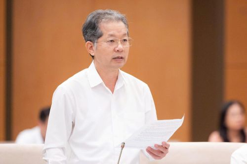 Chánh án Tòa án nhân dân tối cao Nguyễn Văn Quảng trình bày Tờ trình dự án Pháp lệnh. Ảnh: media.quochoi.vn