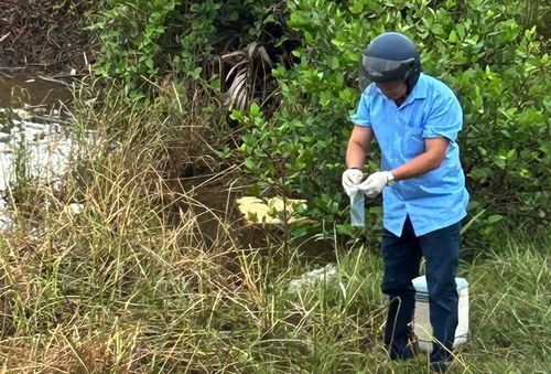 Cơ quan chuyên môn lấy 4 mẫu cá chết, gồm 3 mẫu cá nuôi và 1 mẫu cá tự nhiên để gửi Trung tâm Chẩn đoán và Xét nghiệm thú y Trung ương I xét nghiệm (ảnh: Q.N.).