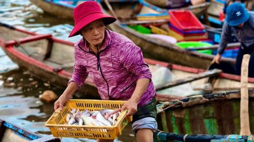 Ngư dân tất bật phân loại hải sản vừa được đưa từ khoang tàu lên để kịp bán trong phiên chợ sớm