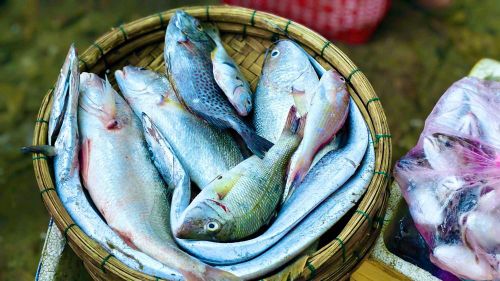 Hải sản tươi rói được chuyển từ tàu vào bờ ngay khi trời vừa hửng sáng, giữ trọn hương vị của biển.