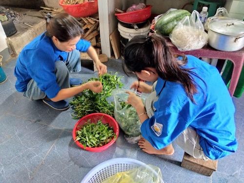Tuổi trẻ Hà Tĩnh đã tổ chức chuỗi hoạt động tri ân cựu thanh niên xung phong với các hành trình về nguồn, dọn dẹp nghĩa trang, khám bệnh miễn phí và trao quà sinh kế. Điểm nhấn của chiến dịch là những "Bữa cơm tình nghĩa" do đoàn viên, thanh niên tự tay nấu nướng, quây quần cùng các cựu thanh niên xung phong neo đơn. Ảnh: Hoàng Ngà - TTXVN