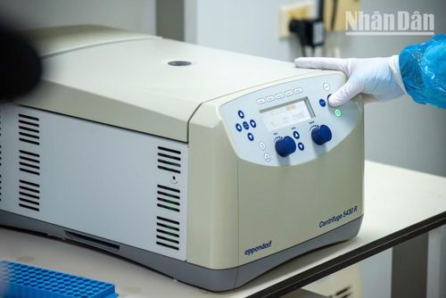 Dưới tác động của lực quán tính, các mảnh vụn xương và tạp chất lắng xuống đáy, nhường chỗ cho lớp dịch chiết chứa các đoạn ADN quý giá được thu hồi ở phần trên.