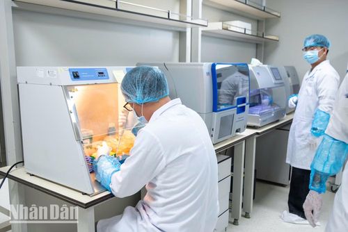Dùng pipet tự động để chuyển một lượng mẫu cực nhỏ vào ống nghiệm là một kỹ thuật cơ bản nhưng đòi hỏi độ chính xác cao để bảo đảm lượng ADN thu được là tối ưu.