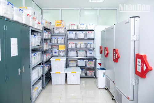 Căn phòng lưu mẫu đặc biệt, nơi bảo quản nghiêm ngặt hơn 10.000 mẫu hài cốt liệt sĩ được quy tập từ các nghĩa trang trên cả nước.