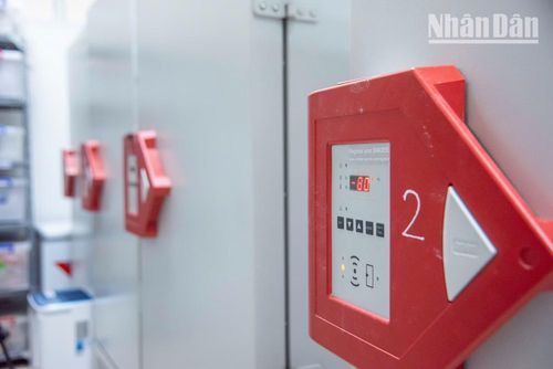 Bên trong kho lưu mẫu, hệ thống tủ lạnh âm sâu tới -80°C đóng vai trò then chốt trong việc bảo quản dài hạn các mẫu vật di truyền nhạy cảm, ngăn chặn sự suy thoái ADN do tác động của môi trường nhiệt đới nóng ẩm, bảo đảm chất lượng mẫu tốt nhất cho các công đoạn giải trình tự sau này.