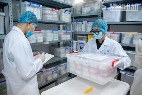 Những mẫu hài cốt mang dấu tích của thời gian, nhiều mẫu trong số đó đã nằm dưới lòng đất 50-80 năm.