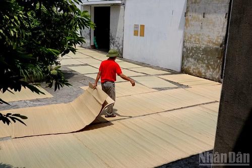 Ông Bình đang phơi chiếu dưới nắng để mỗi sản phẩm có chất lượng tốt nhất. (Ảnh: Hà Thương)