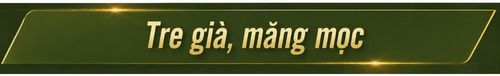 Phóng viên: Trung tướng có gửi gắm điều gì tới thế hệ trẻ hôm nay về công tác tri ân này?