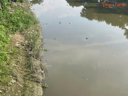  Hà Nội dự kiến đầu tư hơn 75.000 tỷ đồng cải tạo sông Nhuệ, gồm các hạng mục xử lý ô nhiễm, thu gom nước thải, nạo vét và chỉnh trang khu vực hai bên bờ. 