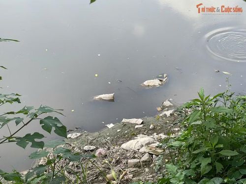 Trên mặt sông Nhuệ xuất hiện nhiều rác thải trôi nổi, cùng tình trạng nước đục, mùi hôi phát sinh, gây ảnh hưởng đến sinh hoạt của các hộ dân ven sông.