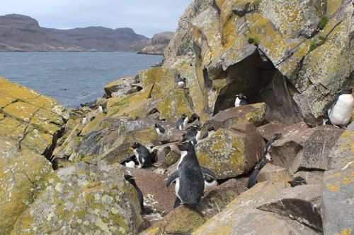 Ảnh: ileskerguelen.blogspot