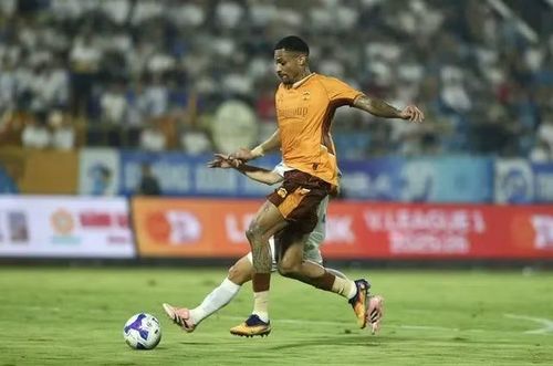 Câu lạc bộ bóng đá Hoàng Anh Gia Lai đã 2 lần vô địch giải đấu V-League vào các năm 2003 và 2004. Ảnh: Hoàng Anh Gia Lai.