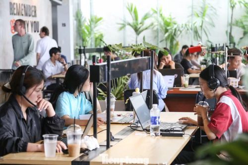 Theo ghi nhận, vào nhiều thời điểm trong ngày, phần lớn các bàn kín chỗ, người ngồi làm việc với máy tính cá nhân, nhóm thì trò chuyện. Không ít người mang theo tài liệu, tai nghe và dành nhiều giờ liên tục tại quán. Không gian được bố trí đa dạng từ bàn dài dành cho nhóm đến các góc ngồi riêng, đáp ứng nhu cầu của nhiều đối tượng khách hàng.