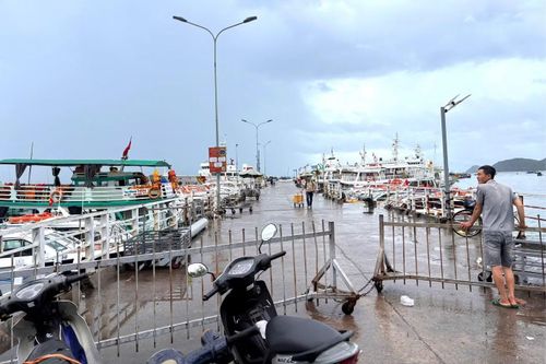 Toàn tỉnh An Giang hiện có 35 tàu vận tải hành khách hoạt động trên các tuyến từ đất liền ra đảo; hơn 190 phương tiện thủy nội địa vận chuyển khách tham quan giữa các đảo.