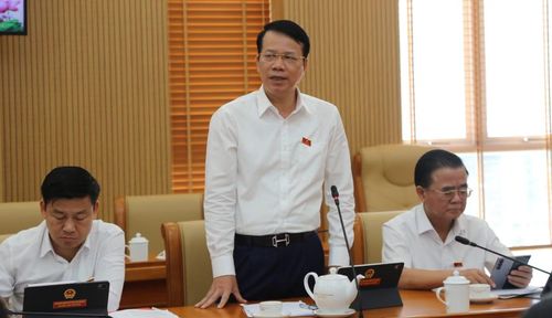 Phó Chủ tịch UBDN tỉnh Thái Nguyên Dương Văn Lượng phát biểu tại thảo luận tổ