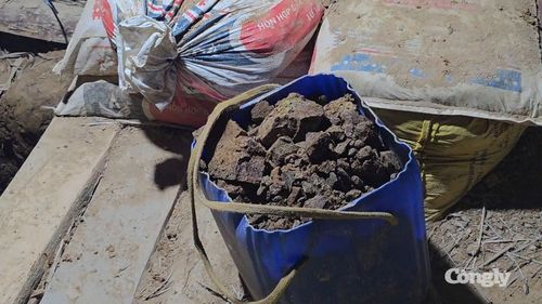 Quặng lấy từ lòng đất nghi là vàng