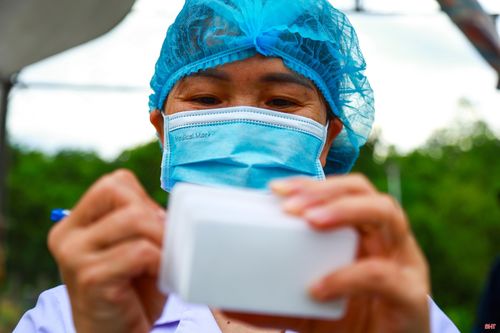 Các công đoạn quan sát, lựa chọn và lấy mẫu sinh phẩm được thực hiện tỉ mỉ, đúng quy trình.
