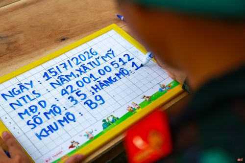Các thành viên tổ số hóa theo sát từng công đoạn, cập nhật dữ liệu ngay tại hiện trường.