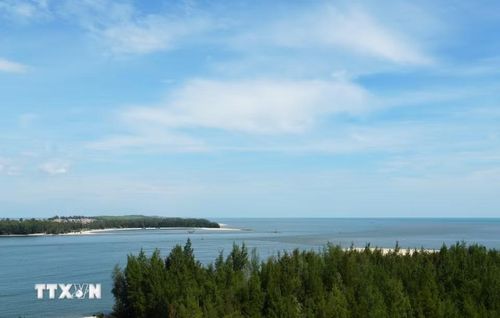 Rặng phi lao ở hai bên cửa biển Thuận An, thành phố Huế tạo không gian xanh cho cửa biển. (Ảnh: Nguyên Lý/TTXVN)