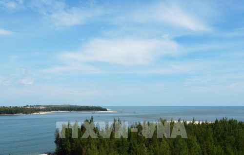 Rặng phi lao ở hai bên cửa biển Thuận An, thành phố Huế tạo không gian xanh cho cửa biển. Ảnh: Nguyên Lý - TTXVN
