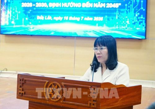 Bà Hồ Thị Nguyên Thảo, Phó Chủ tịch Thường trực UBND tỉnh phát biểu. Ảnh: Tuấn Anh – TTXVN 