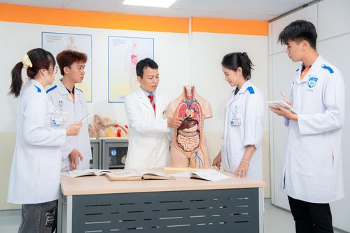 Việt Nam cần xây dựng một nền kinh tế chăm sóc toàn diện, vừa đáp ứng nhu cầu của xã hội, vừa tạo việc làm. Ảnh: HUTECH.