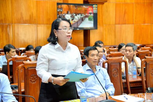 Đại biểu tham gia phát biểu thảo luận tại hội nghị.