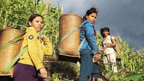 Chiếc gùi (a chói) là vật dụng thân thuộc của đồng bào mỗi ngày lên rẫy.