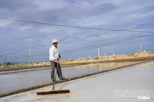 Ông Bùi Hóa bên ruộng muối của gia đình.
