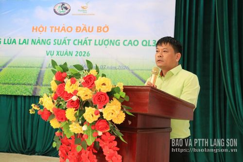 Đại diện Công ty Cổ phần tập đoàn ThaiBinh Seed phát biểu tại hội thảo
