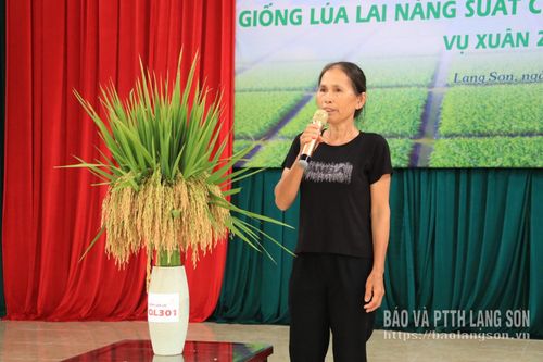 Đại diện gia đình tham gia mô hình phát biểu tại hội thảo