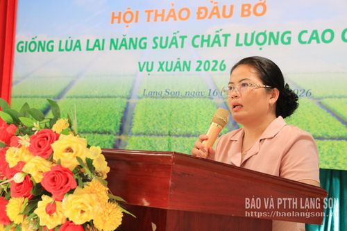 Lãnh đạo Sở Nông nghiệp và Môi trường phát biểu tại hội thảo