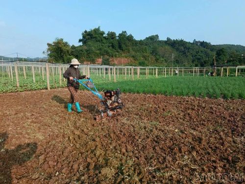 Từ người nông dân, nhiều lao động địa phương sẽ có cơ hội trở thành công nhân khi các khu, cụm công nghiệp tại Gia Phú đi vào hoạt động.