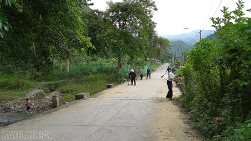 Các thành viên dòng họ Lâm tham gia lao động công ích, vệ sinh đường giao thông.