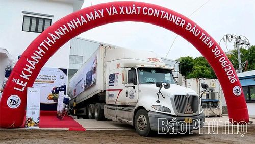Công ty TNHH Đầu tư thương mại Tiến Ngân đầu tư mở rộng sản xuất, tham gia chuỗi cung ứng toàn cầu.