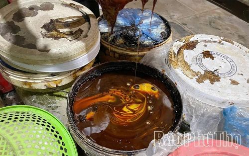 Nhựa sơn sau khi được thu hoạch được chứa trong các thùng nhựa, mỗi thùng 20 lít chờ được giá sẽ bán cho thương lái.