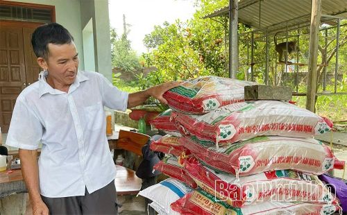 Trung tâm Khuyến nông tỉnh đã hỗ trợ người dân trồng cây sơn giống mới, cho năng suất cao và một phần phân bón để chăm cây sơn trên đồi vùng Thọ Văn.