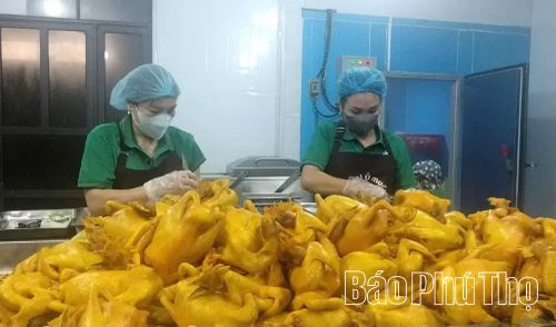 Đầu tư chế biến sâu giúp HTX Chăn nuôi, sản xuất và chế biến gà ủ muối Tân Sơn nâng cao được giá trị sản phẩm và tạo việc làm cho nhiều lao động tại địa phương.
