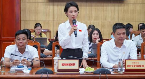 Đại diện doanh nghiệp du lịch Quảng Trị phát biểu tại hội nghị - Ảnh: N.H