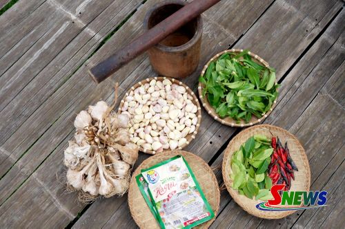 Nguyên liệu làm món chẳm chéo của người Thái.