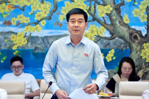ĐBQH hoạt động chuyên trách tại Ủy ban Pháp luật và Tư pháp Lê Thanh Hoàn phát biểu. Ảnh: Minh Trang