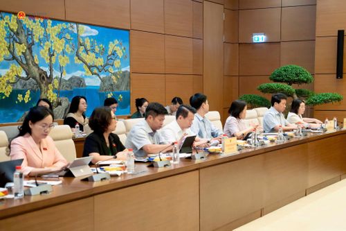 Các đại biểu dự phiên họp. Ảnh: Minh Trang