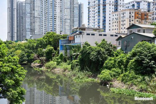 Nhà dân nằm sát mép sông xen lẫn cây dại. Theo định hướng của dự án, việc cải tạo không chỉ tập trung xử lý ô nhiễm mà còn hướng tới chỉnh trang cảnh quan và hạ tầng dọc hai bên sông.