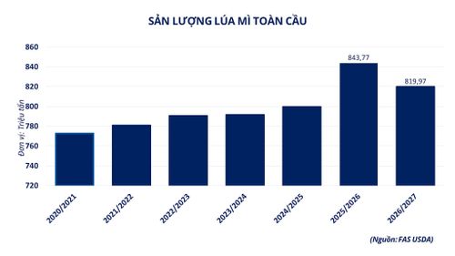 Sản lượng lúa mì toàn cầu. Nguồn: MXV