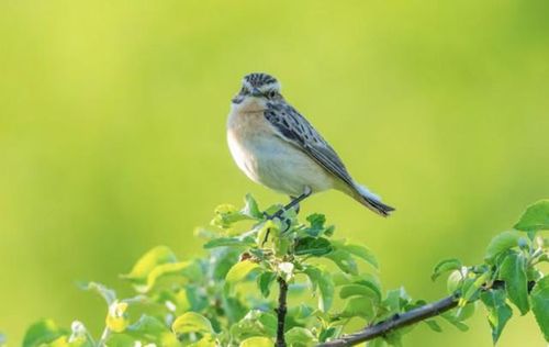 Người sinh vào tháng 9 Âm lịch thường sở hữu trí tuệ, ý chí bền bỉ và tinh thần cầu tiến. Ảnh minh họa