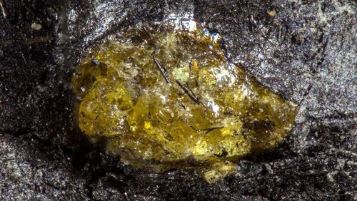 Hàng trăm mảnh hổ phách siêu nhỏ ẩn mình trong các lớp than đá tại hệ tầng Hujiersite ở Trung Quốc. Ảnh: La Hán Hằng và các cộng sự